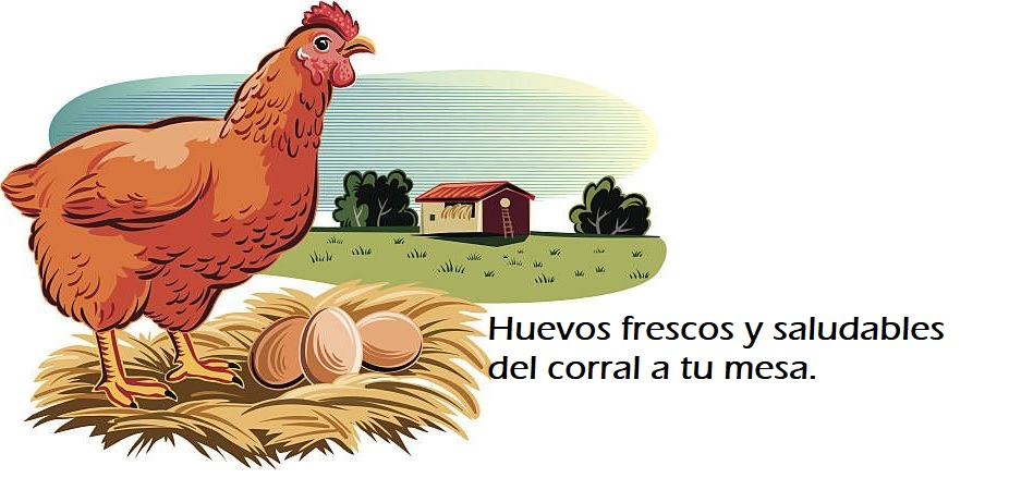 Andrea Maribel Ger Quiroz